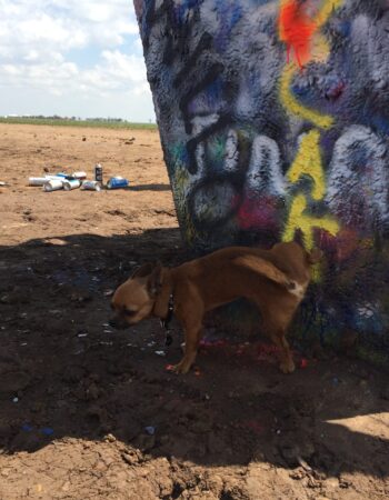 Cadillac Ranch