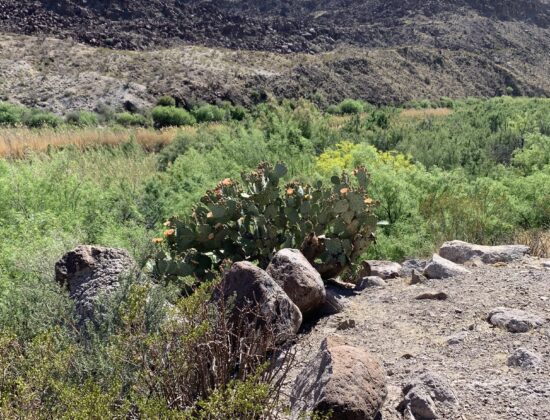 Presidio to Terlingua