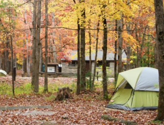 Great Smoky Mountains National Park