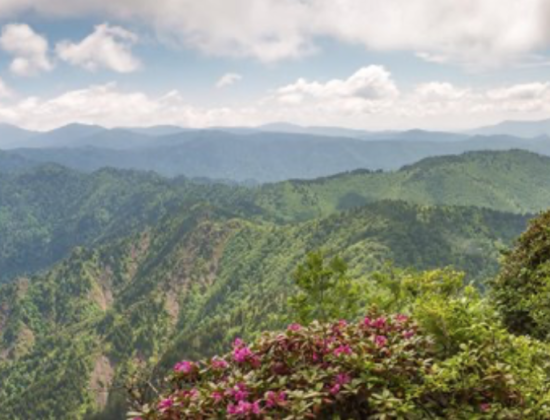 Great Smoky Mountains National Park