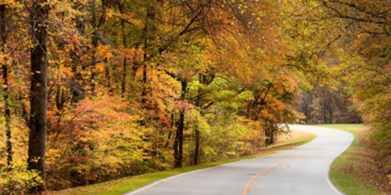 Natchez Trace Parkway