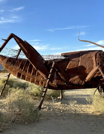 Borrego Springs Metal Sculptures