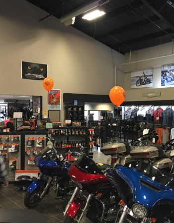 Champion Motorsports / Champion Harley-Davidson