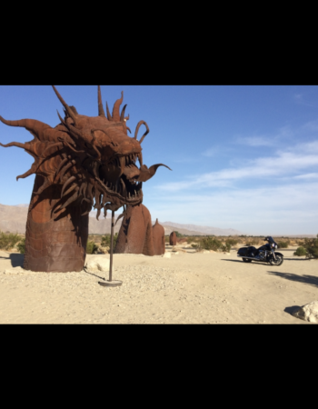 Borrego Springs Metal Sculptures