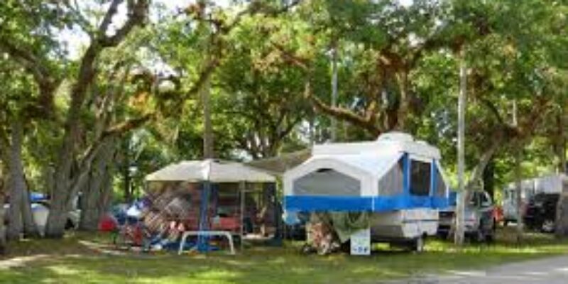 Collier-Seminole State Park