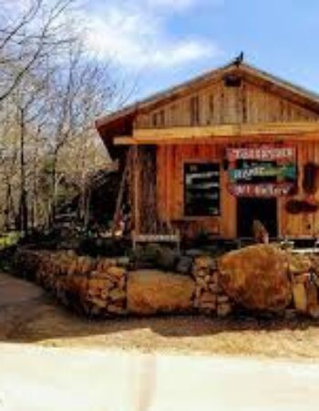 Rattlesnake Saloon