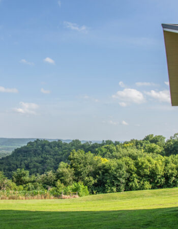 Vino Over The Valley